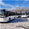 49 автобусов Универсиады отдают Красноярску (видео)
