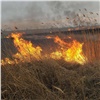 В Красноярском крае пожарные пять раз за сутки выезжали на тушение горящей травы