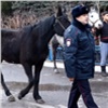 «Сломали забор и пошли в Красноярск»: полицейские поймали на Свободном 8 лошадей (видео)