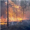 Красноярскому краю и соседним регионам спрогнозировали на апрель лесные пожары