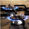 Нескольким красноярцам запретили выезжать за границу за отказ проверять исправность газовых плит в квартире