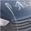 В элитном районе Красноярска автохаму прокололи колеса и измазали машину мороженым (видео)