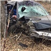 На окраине Красноярска столкнулись две «Тойоты»: одна слетела с дороги, врезалась в дерево и превратилась в груду металла