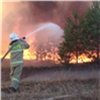 Пожарные показали страшные кадры горящего под Минусинском леса и поблагодарили добровольцев
