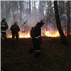 Красноярский край не полностью готов к тушению лесных пожаров