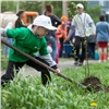 Активисты «Зеленой дружины» проведут первую в этом году высадку деревьев в Красноярске
