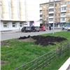 В Красноярске пропала еще одна фигура вертикального озеленения