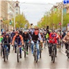 По Красноярску проедет «элегантный» велопарад. Участники будут в костюмах и на необычном транспорте