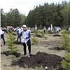 РУСАЛ запустил масштабный проект по лесовосстановлению в Красноярском крае