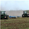 В Красноярском крае зерновыми засеяли 65 % полей