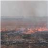 Больше половины лесных пожаров в Красноярском крае произошли из-за поджогов сухой травы