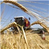 «Инвестируем в сельское хозяйство»: банк «Акцепт» размещает облигации «ОбъединенияАгроЭлита»
