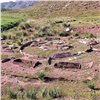 «Черные археологи» раскопали древний могильник в Красноярском крае