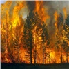 В Ермаковском районе сгорело леса на 2 миллиона. Лесных пожарных заподозрили в бездействии