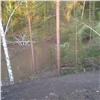 После стройки на Николаевской сопке в Красноярске овраг с ручейком превратился в болото