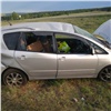 В Красноярском крае машина с 5-месячным ребенком слетела в кювет. У девочки перелом черепа