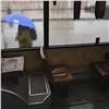 «Идем на роддом без остановок»: экипаж автобуса рассказал о родах красноярки в салоне
