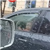 Красноярцы в очередной раз засняли автоледи с ребенком на руках (видео)