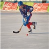 В Красноярском крае может появиться представительство федерации по хоккею с мячом