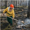 Красноярский край стал лидером в России по количеству и площади лесных пожаров