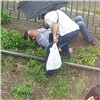 В Красноярске пешехода сбил трамвай