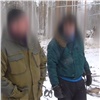Красноярские полицейские задержали лесного контрабандиста (видео)