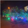 «Еще один зеленый уголок»: в Красноярске добавили подсветки деревьям