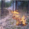 В Красноярском крае продолжает гореть почти 300 тысяч гектаров леса, но режим ЧС в районах снимают