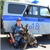 Полицейская собака помогла найти в лесу под Железногорском заблудившегося пенсионера