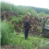 «Косили и жгли»: полицейские уничтожили 30 га дикорастущей конопли в Красноярском крае (видео)