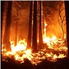«Не экономить, затраты обоснуем»: правительство края пообещало защитить людей от лесных пожаров любыми способами