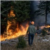 В Красноярском крае горит почти 850 тысяч га леса. Минлесхоз рассказал о планах по их тушению