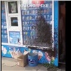 «Пломбир по акции»: в Красноярске полчище пчел атаковало ларек с мороженым (видео)