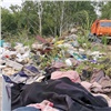 На окраине Красноярска ликвидировали свалку из фруктов, овощей и бытовых отходов
