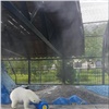 На красноярских белых медведях испытали искусственный туман и новые игрушки (видео)