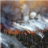 Минлесхоз: «Активное распространение пожаров в Красноярском крае остановлено»