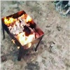 Двое туристов пожарили шашлыки в красноярском заповеднике и получили штраф