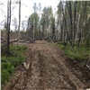 «Работал по недействительным документам»: в Канском районе мужчина вырубил лес почти на 800 тыс рублей