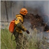 Федеральная Авиалесоохрана потушила лесной пожар в заповеднике «Тунгусский»