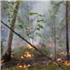 Спасатели из Томска помогут красноярским пожарным справиться с лесными пожарами