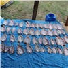 Красноярец наловил 50 кг рыбы под Богучанами и тут же попался полиции