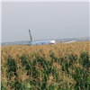 «Столкнулся со стаей чаек»: в подмосковном Жуковском самолет аварийно приземлился на кукурузном поле (видео)
