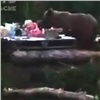 «Он ест с нашего стола!»: норильские туристы пожаловались на объедающих их медведей
