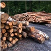 Бывший руководитель и работник лесничества заплатят 43 миллиона за незаконную рубку деревьев