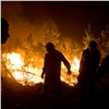 В России подсчитали примерный ущерб от лесных пожаров. Он почти в 3 раза меньше прошлогоднего