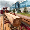 На выставке «Эксподрев» в Красноярске представят мировые решения для лесной отрасли