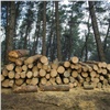 «Миллиард оборота за 8 месяцев»: Красноярский край стал лидером в торговле лесом на бирже