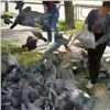 «Кто же их кормить будет?»: красноярка устроила жуткую «столовую» для голубей (видео)
