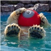 Белым медведям в «Роевом ручье» подарили высокотехнологичный мяч