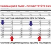 В ЛДПР показали примеры фальсификации результатов выборов в Туве